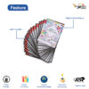 Insect Flash Cards
