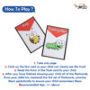 Insect Flash Cards - Image 4
